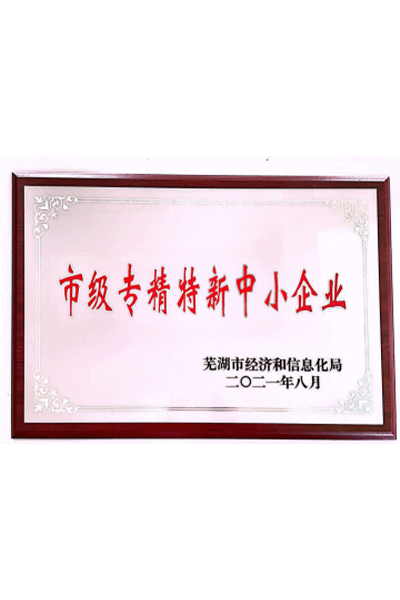 市级专精特新中小企业 市级专精特新中小企业